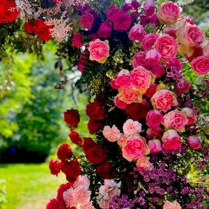 Meet your Posher, Mika